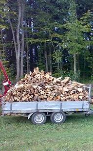 Brennholz
