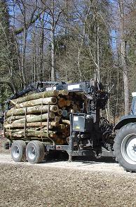 Holztransporte